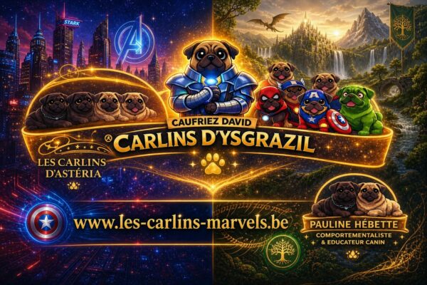Les carlins marvels